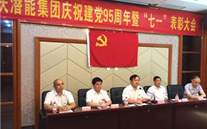 集团召开庆祝建党95周年暨“七一”表彰大会
